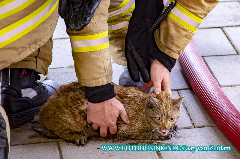 Brandweer haalt kat uit woning na woningbrand