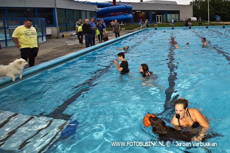 Hondenzwemmen in zwembad de Lockhorst in Sliedrecht.
