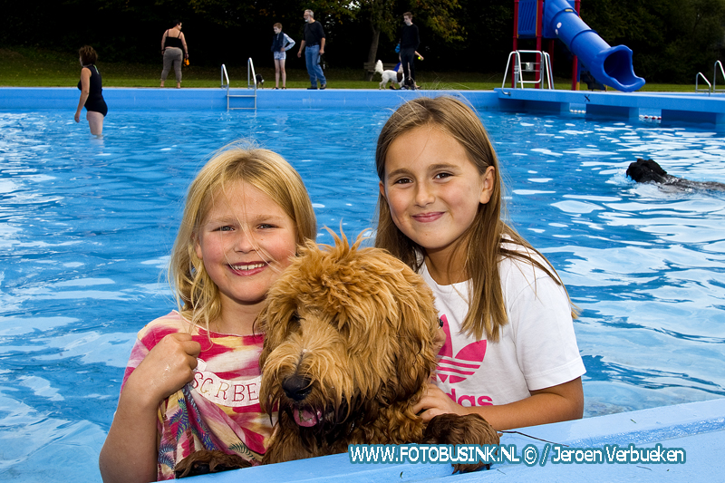 Hondenzwemmen in het Wantijbad in Dordrecht weer een groot succes.