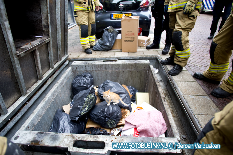 Twee gedumpte kittens in Ondergrondse container aangetroffen aan de De La Reystraat in Dordrecht.