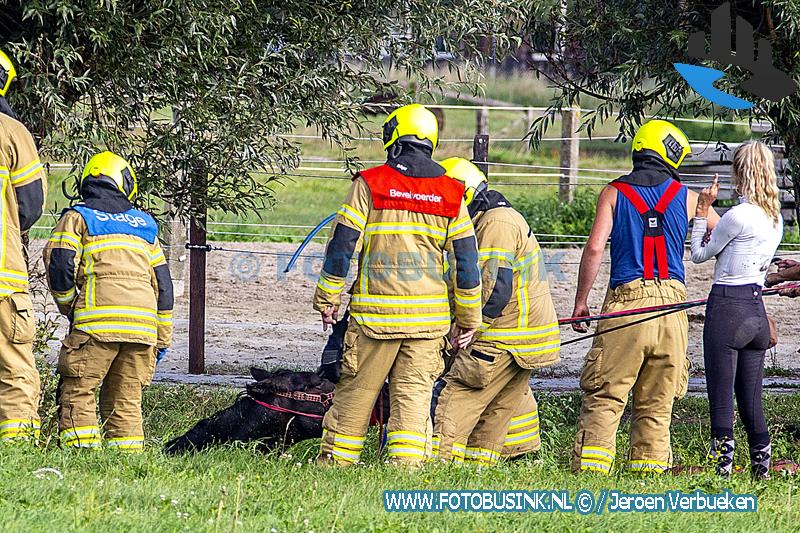 Brandweer opgeroepen voor Paard te water langs de Wijngaardsesteeg in Wijngaarden