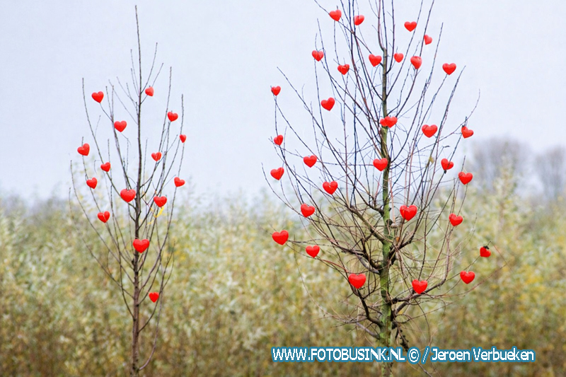 Gratis boompjes op Valentijnsdag