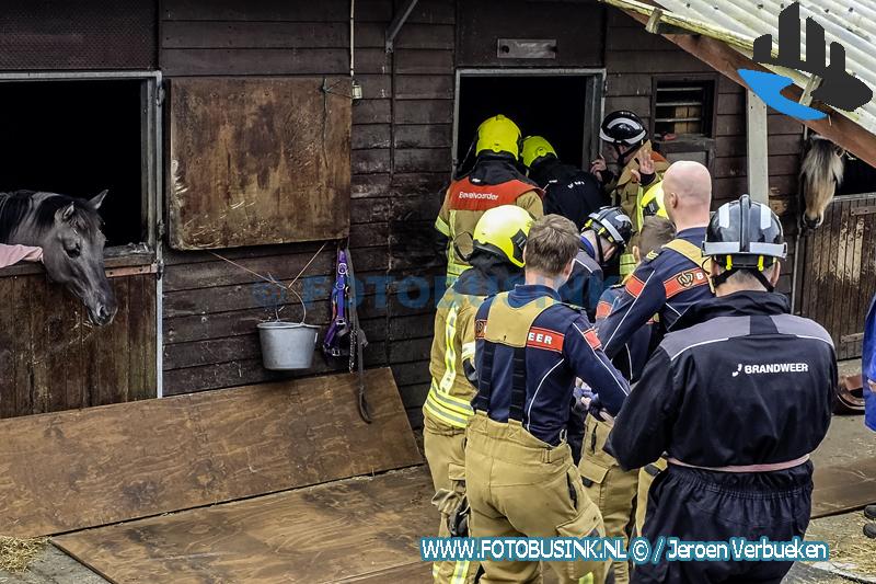 Flinke brandweer inzet voor paard dat niet meer kon opstaan aan de Zuidendijk in Dordrecht